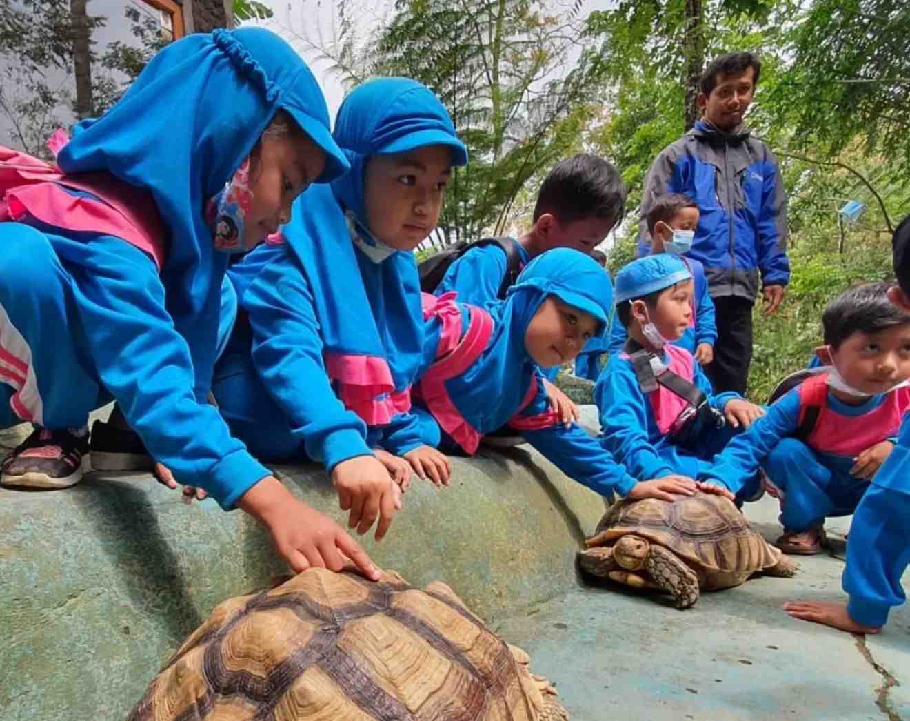 Paket Anak 2 Outbound Anak Green Kemuning